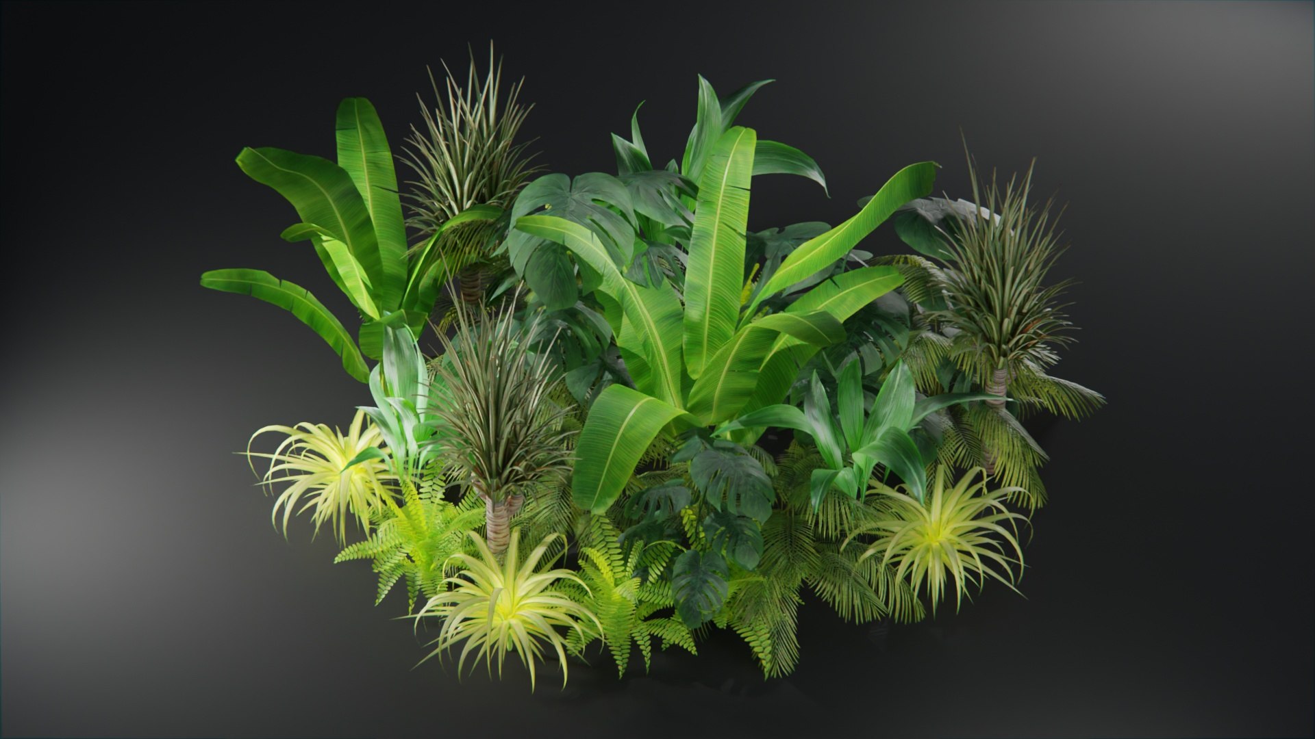 Plants collection model https://p.turbosquid.com/ts-thumb/Ti/HM6OZz/wd/plantstropical1/jpg/1695323194/1920x1080/fit_q87/007abe6296a1466d7154bf7d8ac81dd87dba0dfb/plantstropical1.jpg