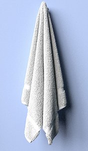 towel model