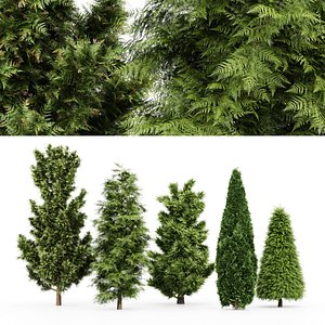 5 Different tree Leyland cypress  Slender Hinoki 3D