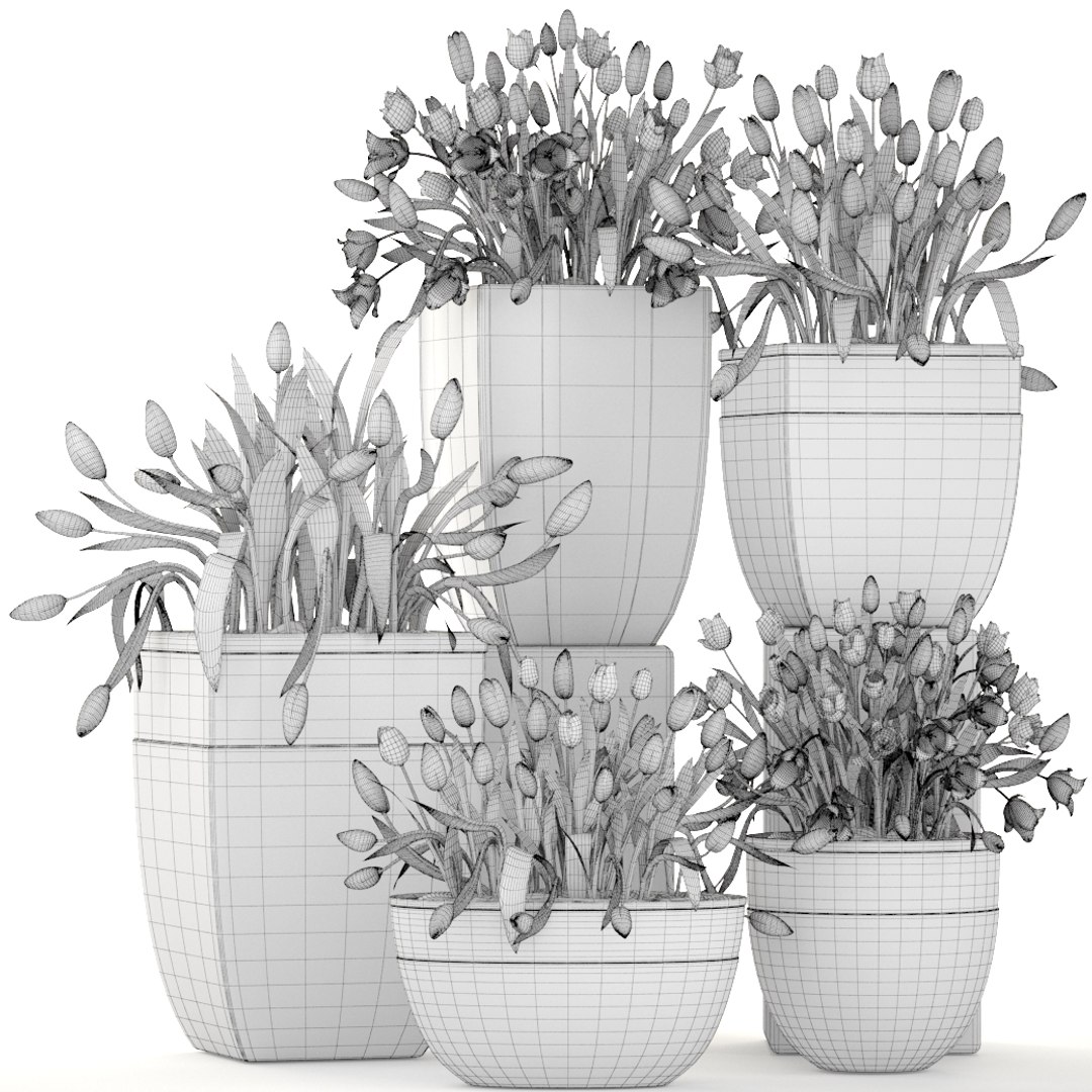 Tulips Pots Capi Model - TurboSquid 1268726