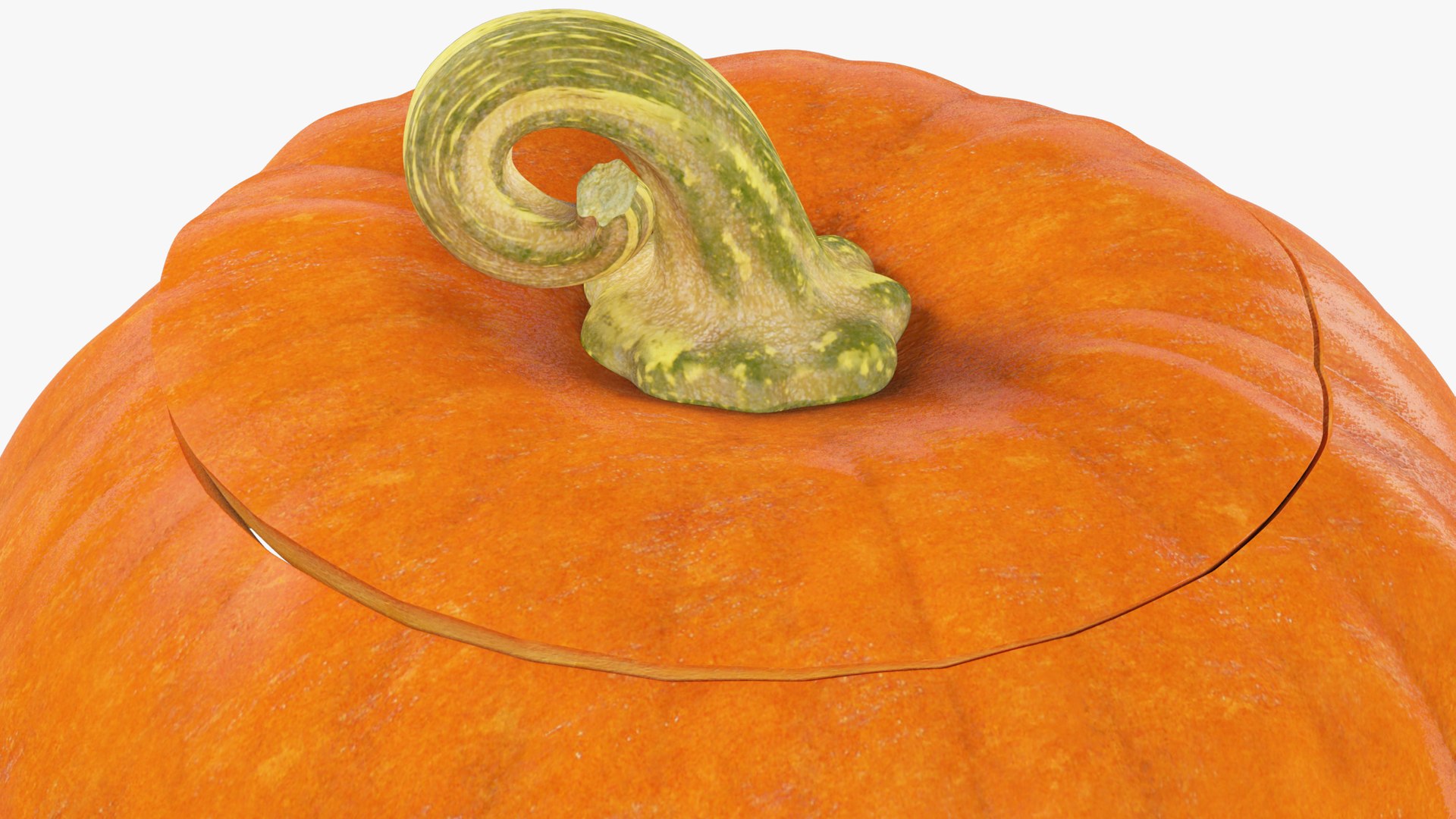 Halloween Pumpkins Family Collection V5 3D https://p.turbosquid.com/ts-thumb/Ti/rxvgIo/8v/hp3_004_015/png/1636060523/1920x1080/fit_q87/01007ffc845870dfafb45defae7eec075fbbc508/hp3_004_015.jpg