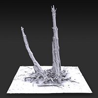 Desert Tree standing 05 3D Scan 3D model