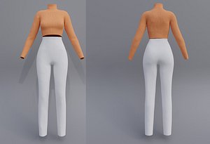 Female outfit - Turtleneck croptop and pants