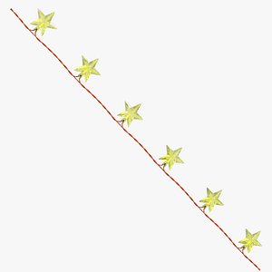 3D Star String Fairy Lights model