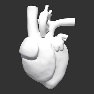 heart