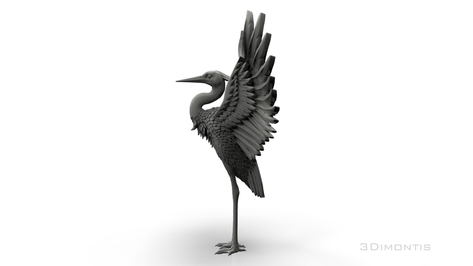 3D Bird https://p.turbosquid.com/ts-thumb/Tj/6RkZnA/ra/3423432/jpg/1747318353/1920x1080/fit_q87/472004d0fd0cc9b868110437f6643ef171a95336/3423432.jpg
