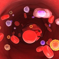 Blood cells