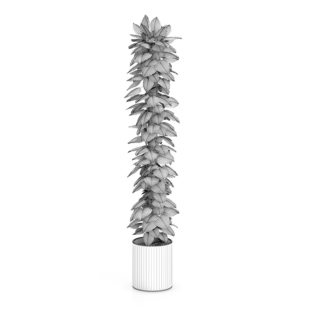 tall climbing plant 3d c4d https://p.turbosquid.com/ts-thumb/Tj/8rvkaD/76VFFsn7/13bgridcopy/jpg/1406995802/1920x1080/fit_q87/850bd74b176fc0be6fd98a9ca5e8197288fef589/13bgridcopy.jpg
