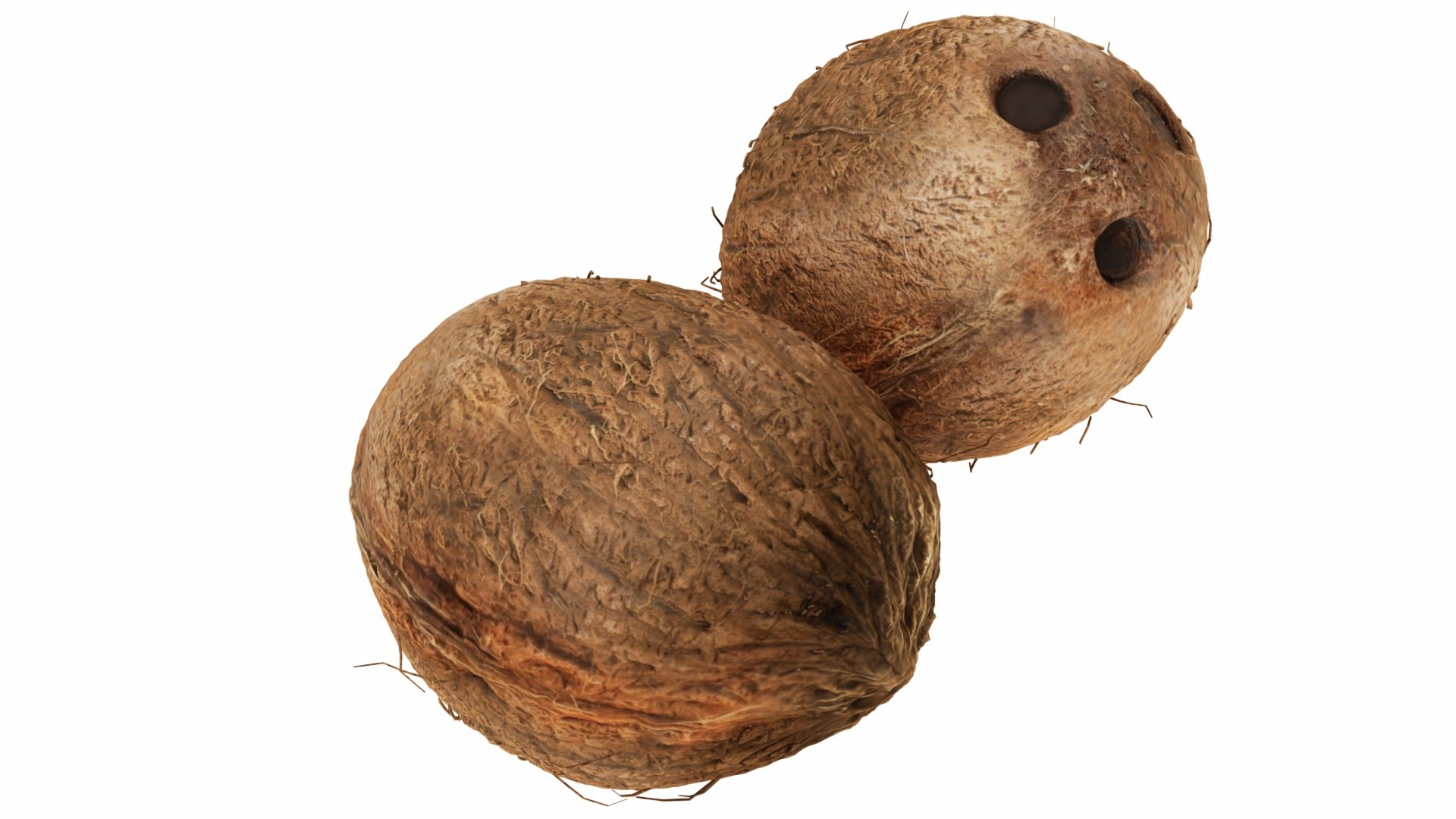 mega fruit vegatable 50 3D https://p.turbosquid.com/ts-thumb/Tj/97gpUa/00ezt05d/0coconut02/jpg/1588763551/1920x1080/fit_q87/cefc2bc1d7bffa62602a65049cd699fad4a3bb84/0coconut02.jpg