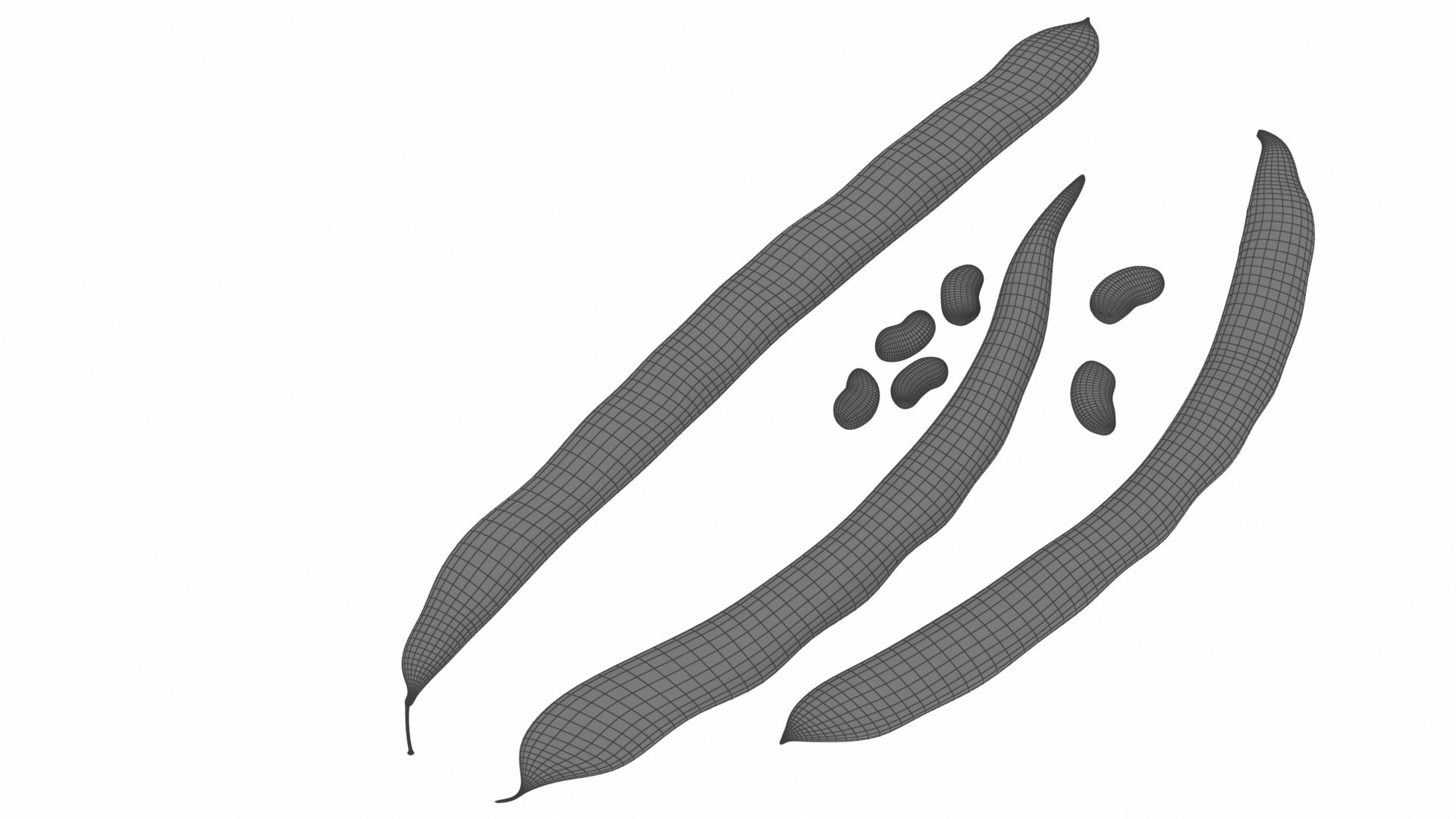 mega fruit vegatable 50 3D https://p.turbosquid.com/ts-thumb/Tj/97gpUa/1IQQ2yQV/0beans7/jpg/1588763457/1920x1080/fit_q87/e455fa7aed525bfa8822e3bcf1b095f4fcb2216a/0beans7.jpg