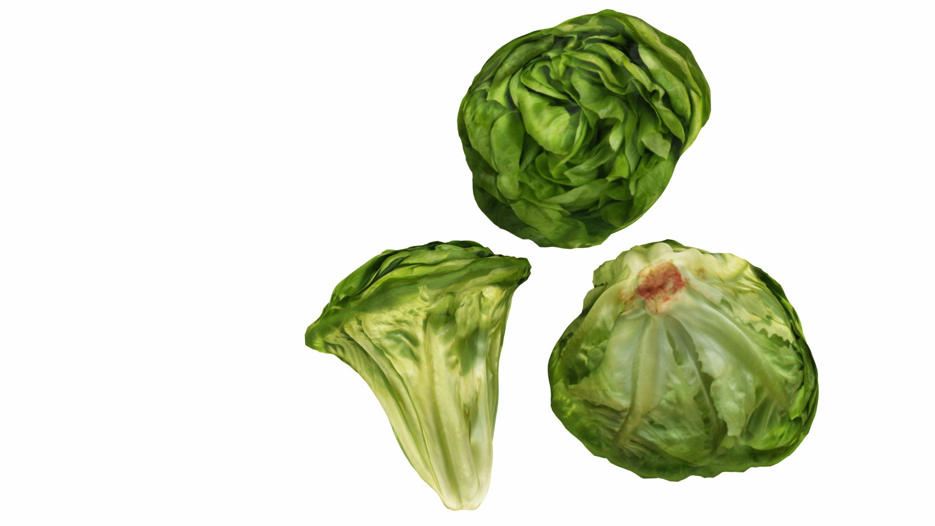 mega fruit vegatable 50 3D https://p.turbosquid.com/ts-thumb/Tj/97gpUa/1ntZUTeD/0lettuce3/jpg/1588763812/1920x1080/fit_q87/ee4e28d965e2c5dcb21cb9deadf5a89ae21e9120/0lettuce3.jpg