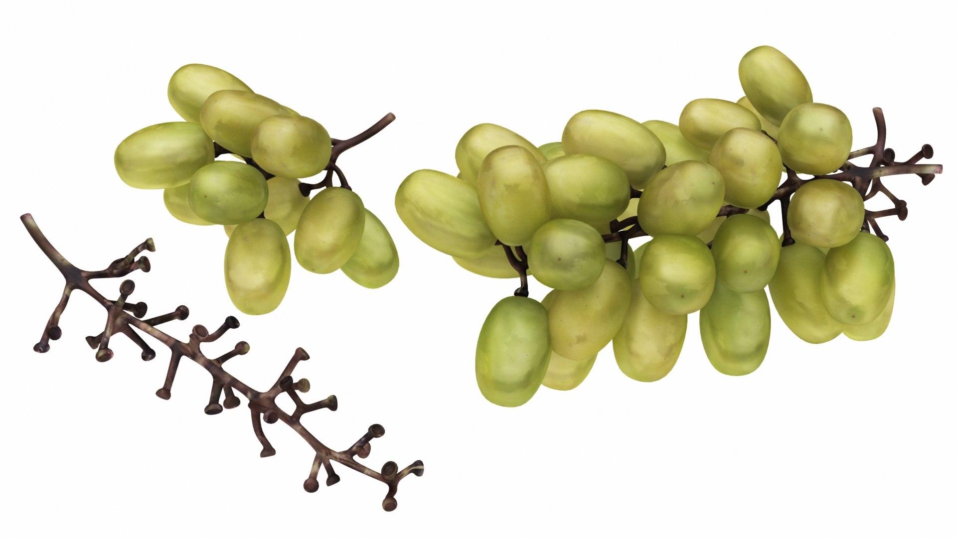 mega fruit vegatable 50 3D https://p.turbosquid.com/ts-thumb/Tj/97gpUa/ANPpMLD3/greeprapes7/jpg/1588763689/1920x1080/fit_q87/b33c45343a0a3d56ca90b16bcf467af137885a5d/greeprapes7.jpg