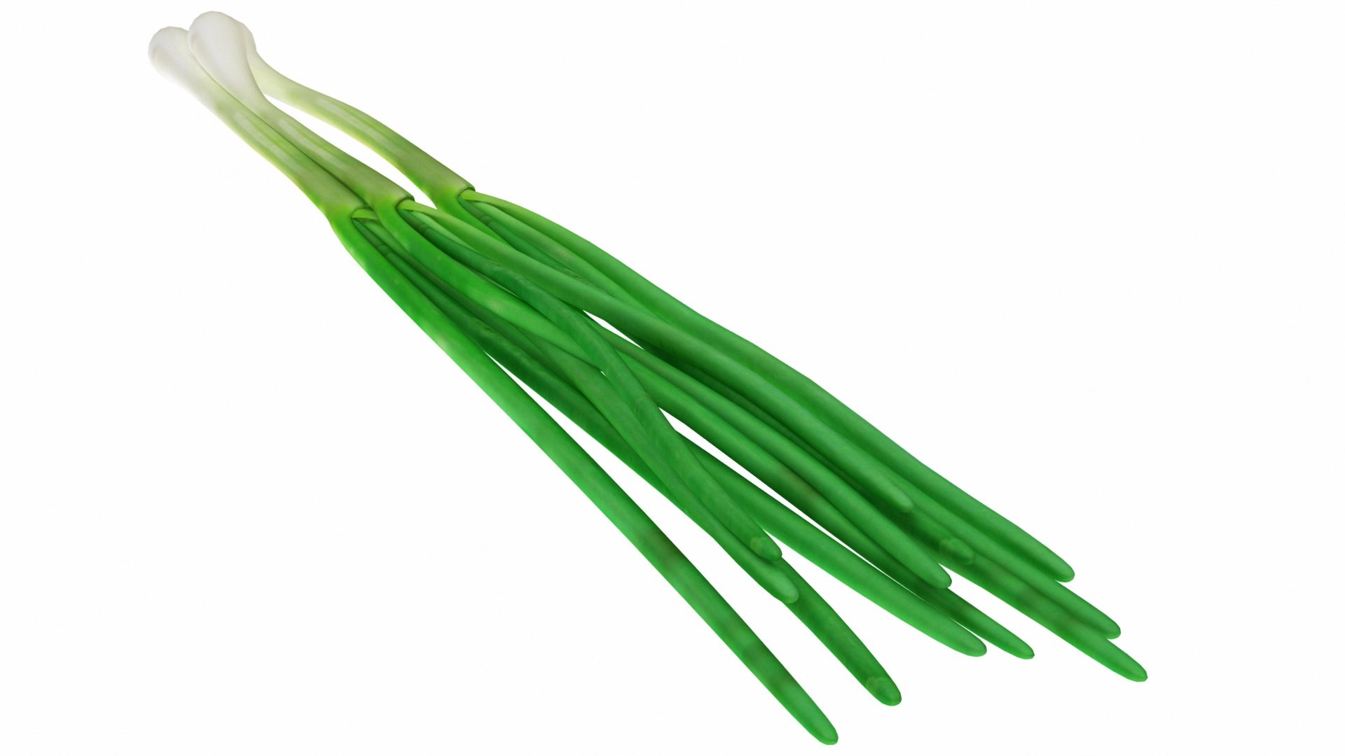 mega fruit vegatable 50 3D https://p.turbosquid.com/ts-thumb/Tj/97gpUa/B05wr0DE/0greenonion3/jpg/1588763715/1920x1080/fit_q87/99c7b2c6f8277ef2c20ce53be6f5156fd6b1c8b7/0greenonion3.jpg