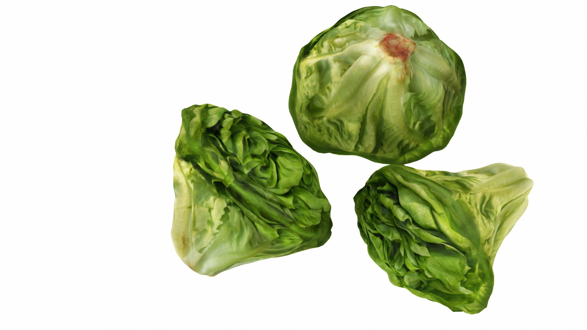 mega fruit vegatable 50 3D https://p.turbosquid.com/ts-thumb/Tj/97gpUa/FkYCknoD/0lettuce2/jpg/1588763812/1920x1080/fit_q87/a896cafdd93ff2b86118c9bc0f84d24cafd016fb/0lettuce2.jpg
