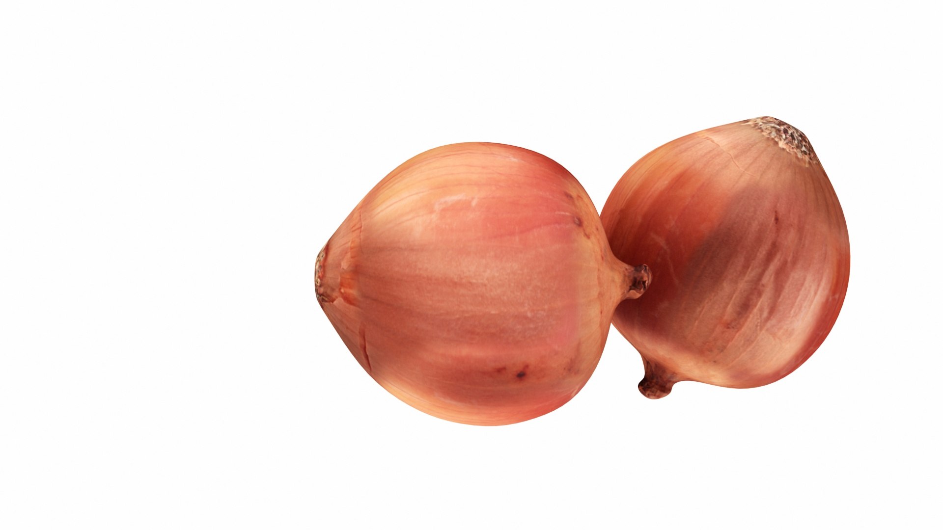 mega fruit vegatable 50 3D https://p.turbosquid.com/ts-thumb/Tj/97gpUa/XBRIfpit/0onion4/jpg/1588763852/1920x1080/fit_q87/c812208f10689ce2556dffdb76bd0b93dc5f5546/0onion4.jpg