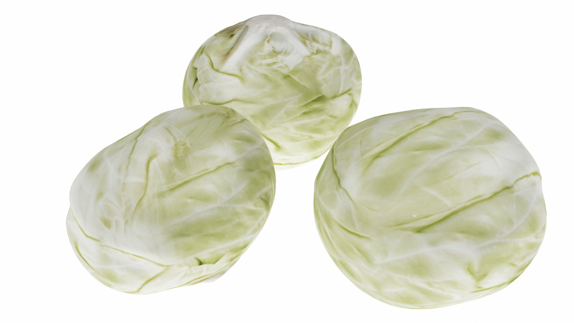 mega fruit vegatable 50 3D https://p.turbosquid.com/ts-thumb/Tj/97gpUa/dqiXMSv1/0cabbage2/jpg/1588763501/1920x1080/fit_q87/4d332b1a569a4fdb517def1bc0ad7a89bfed9889/0cabbage2.jpg