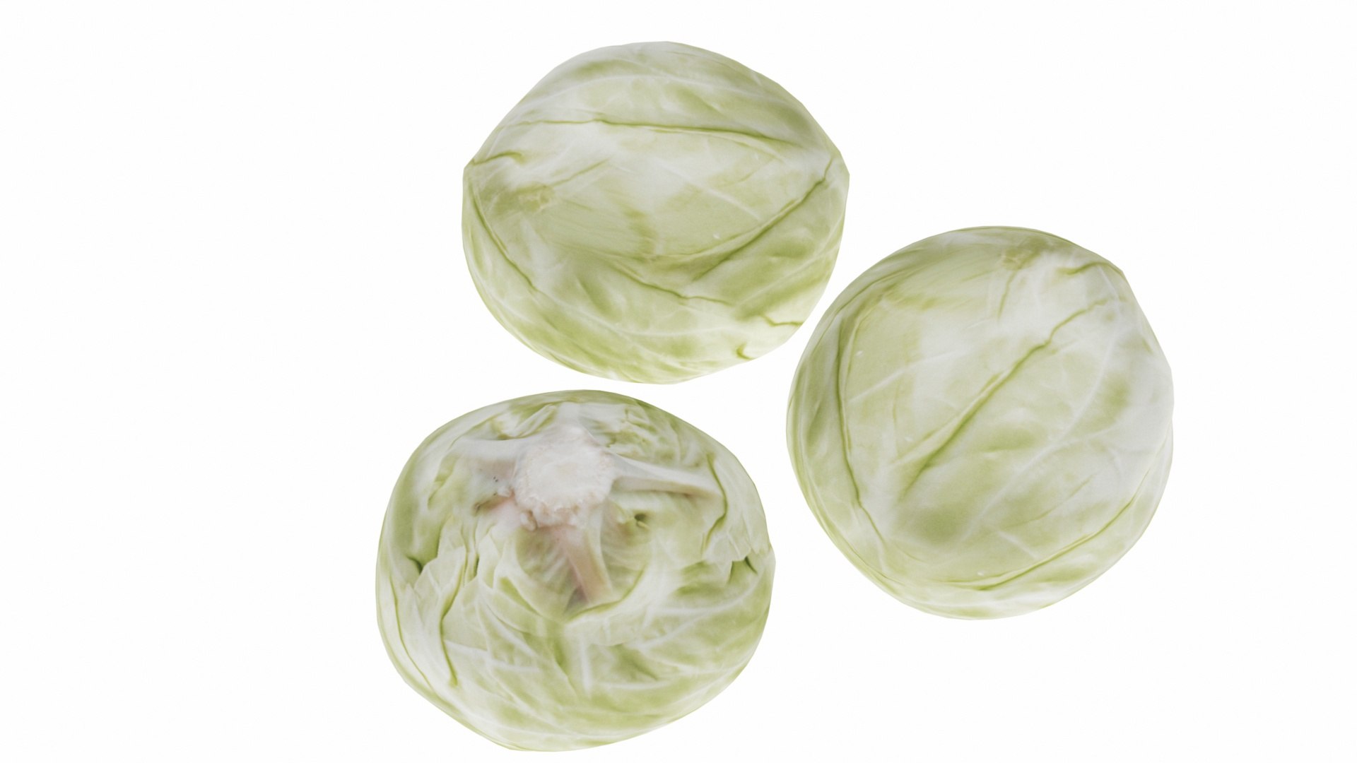 mega fruit vegatable 50 3D https://p.turbosquid.com/ts-thumb/Tj/97gpUa/lhD5vGUB/0cabbage1/jpg/1588763501/1920x1080/fit_q87/8a175c7e005bf59932220ba5d0e0148245298858/0cabbage1.jpg