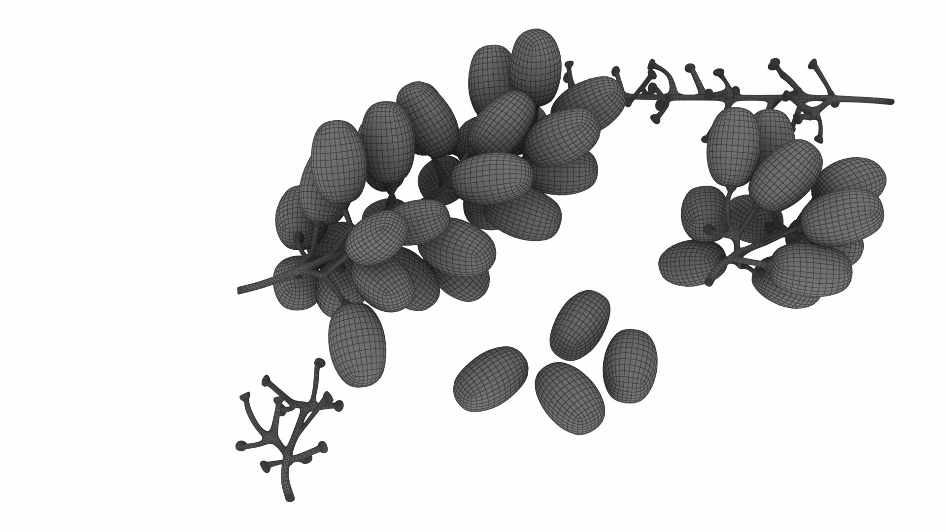 mega fruit vegatable 50 3D https://p.turbosquid.com/ts-thumb/Tj/97gpUa/ll3prVdX/1_view01/jpg/1588763700/1920x1080/fit_q87/458202e0c3e679d5a70adc584120b632cf80f631/1_view01.jpg
