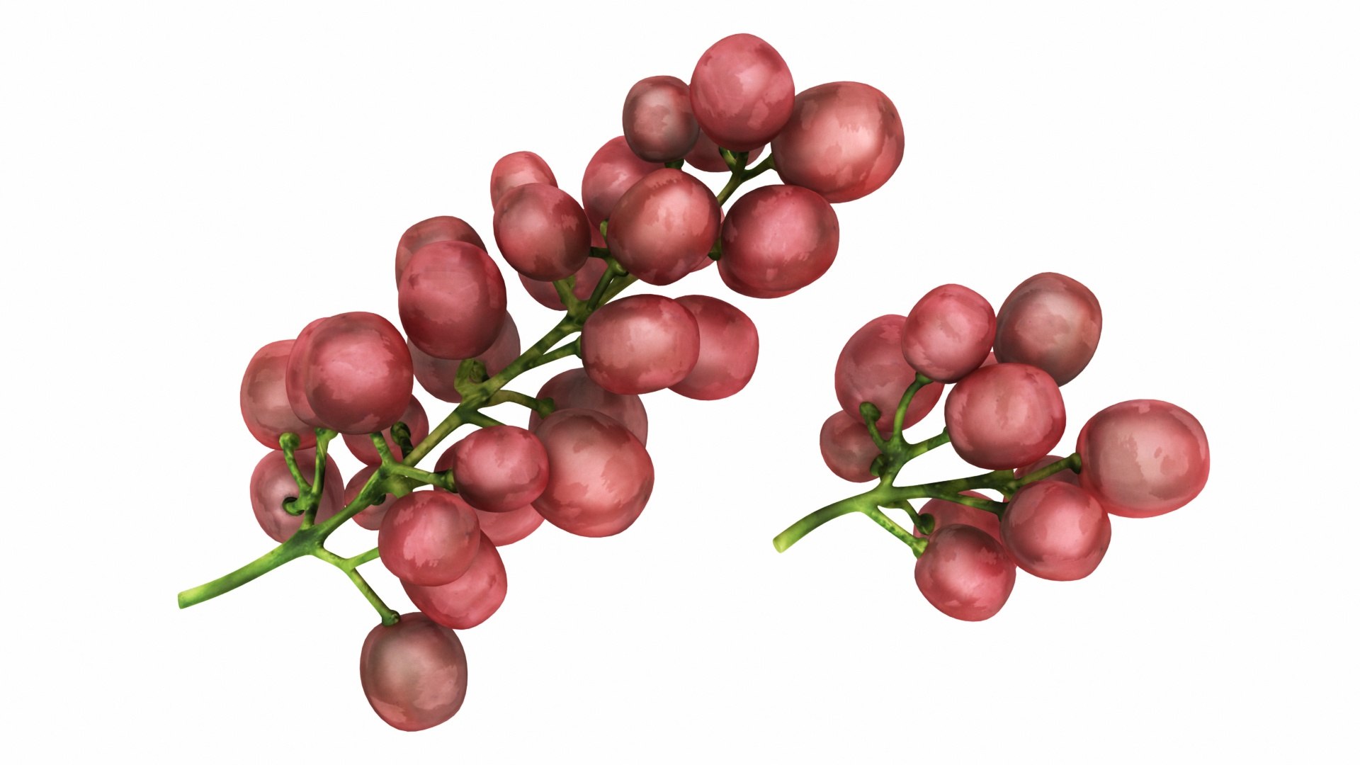 mega fruit vegatable 50 3D https://p.turbosquid.com/ts-thumb/Tj/97gpUa/rAwDvMiG/0grapesred1/jpg/1588763702/1920x1080/fit_q87/c795f095d6ff4cba1929da66446de8e5eb26ec72/0grapesred1.jpg