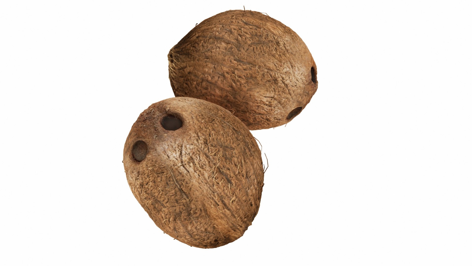 mega fruit vegatable 50 3D https://p.turbosquid.com/ts-thumb/Tj/97gpUa/rvcYo3xS/0coconut2/jpg/1588763551/1920x1080/fit_q87/2506bd33ad0a7f86e68fd16019320be22febbf43/0coconut2.jpg