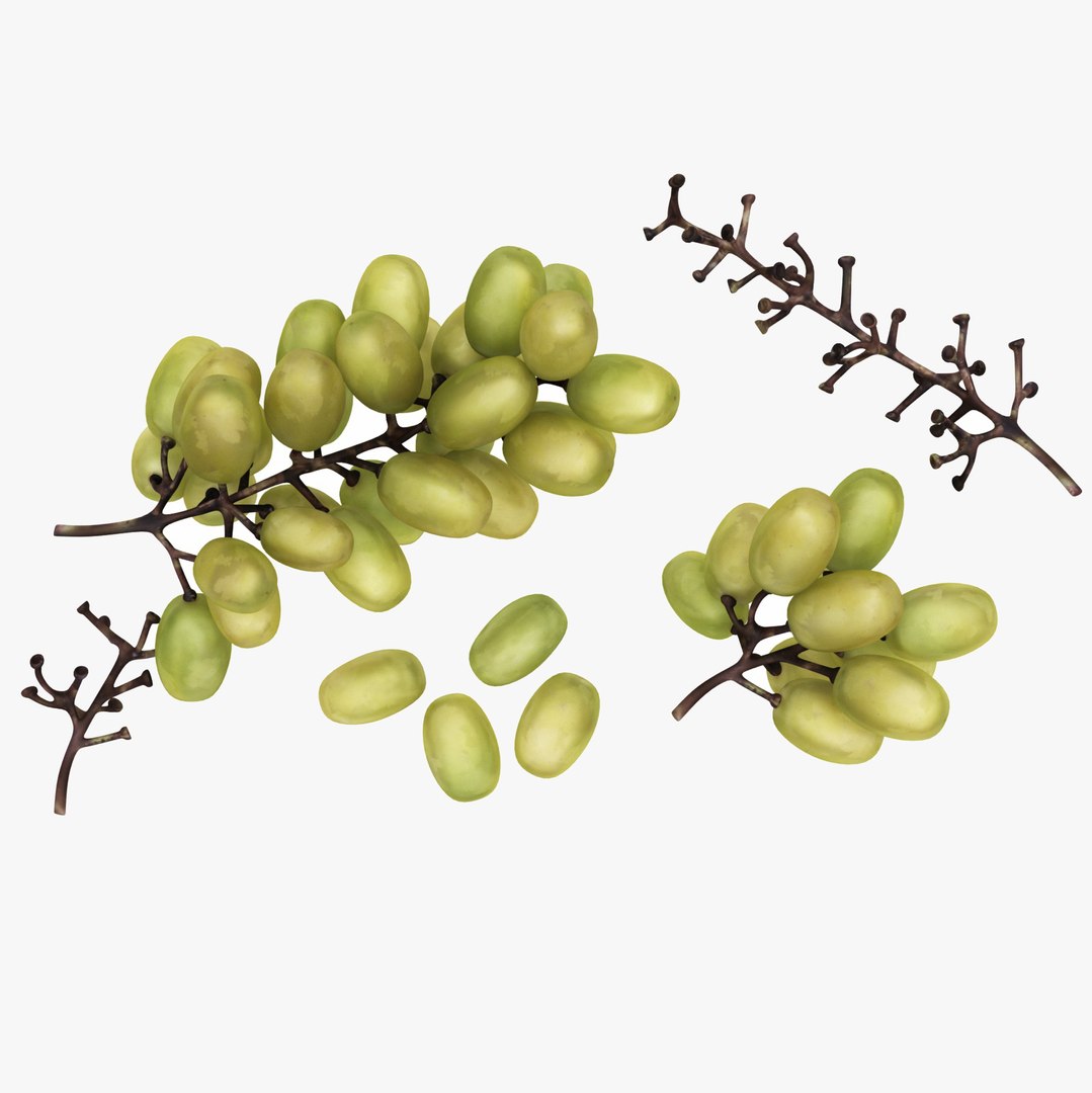 mega fruit vegatable 50 3D https://p.turbosquid.com/ts-thumb/Tj/97gpUa/tGpLwN7z/greeprapes0/jpg/1588763689/1920x1080/fit_q87/9f2eaf5974f846a0019d342dad3e13fbfb39a5ea/greeprapes0.jpg