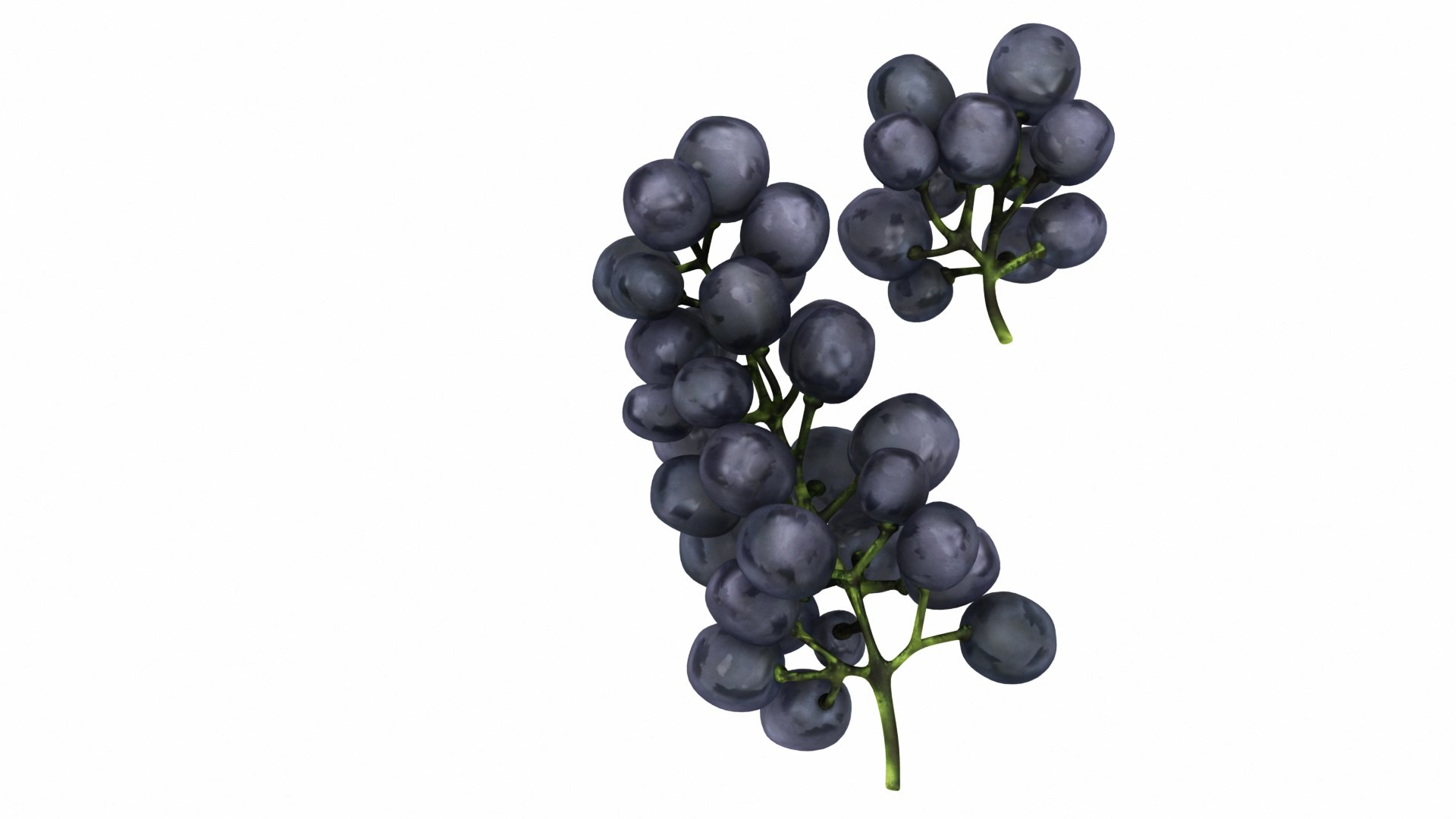 mega fruit vegatable 50 3D https://p.turbosquid.com/ts-thumb/Tj/97gpUa/vUhUVen1/blackgrapes5/jpg/1588763654/1920x1080/fit_q87/b58b4d7a6486273f1e4d875a273ddb9d4d7ff8f6/blackgrapes5.jpg