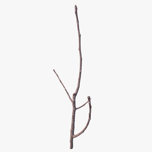 3D Twig Scanned 08