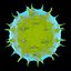 Bacteria verde
