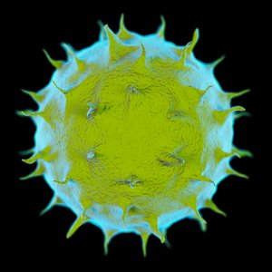 Green Bacterium