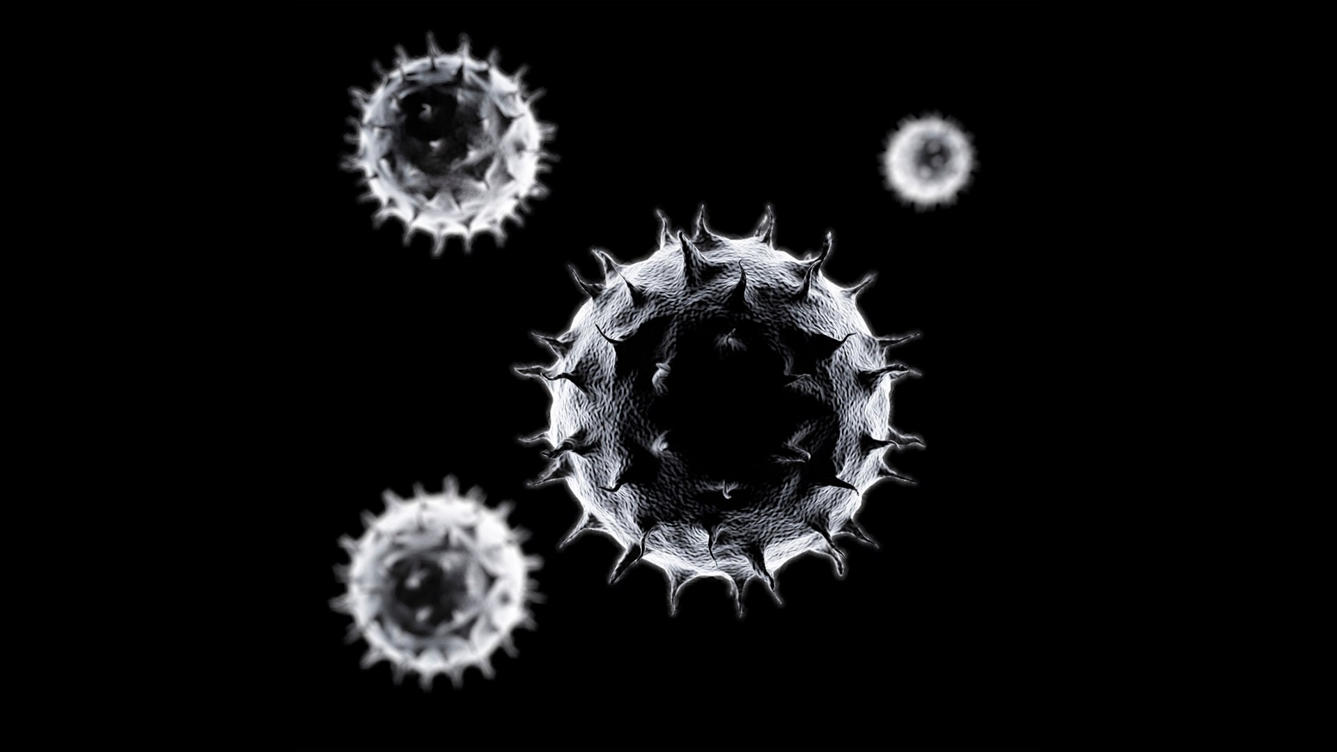 bacterium 3ds https://p.turbosquid.com/ts-thumb/Tj/FrY1C9/V8/7/jpg/1746785428/1920x1080/fit_q87/7cd954edf0bf64688932deb9f6f20b8bcf8e315a/7.jpg