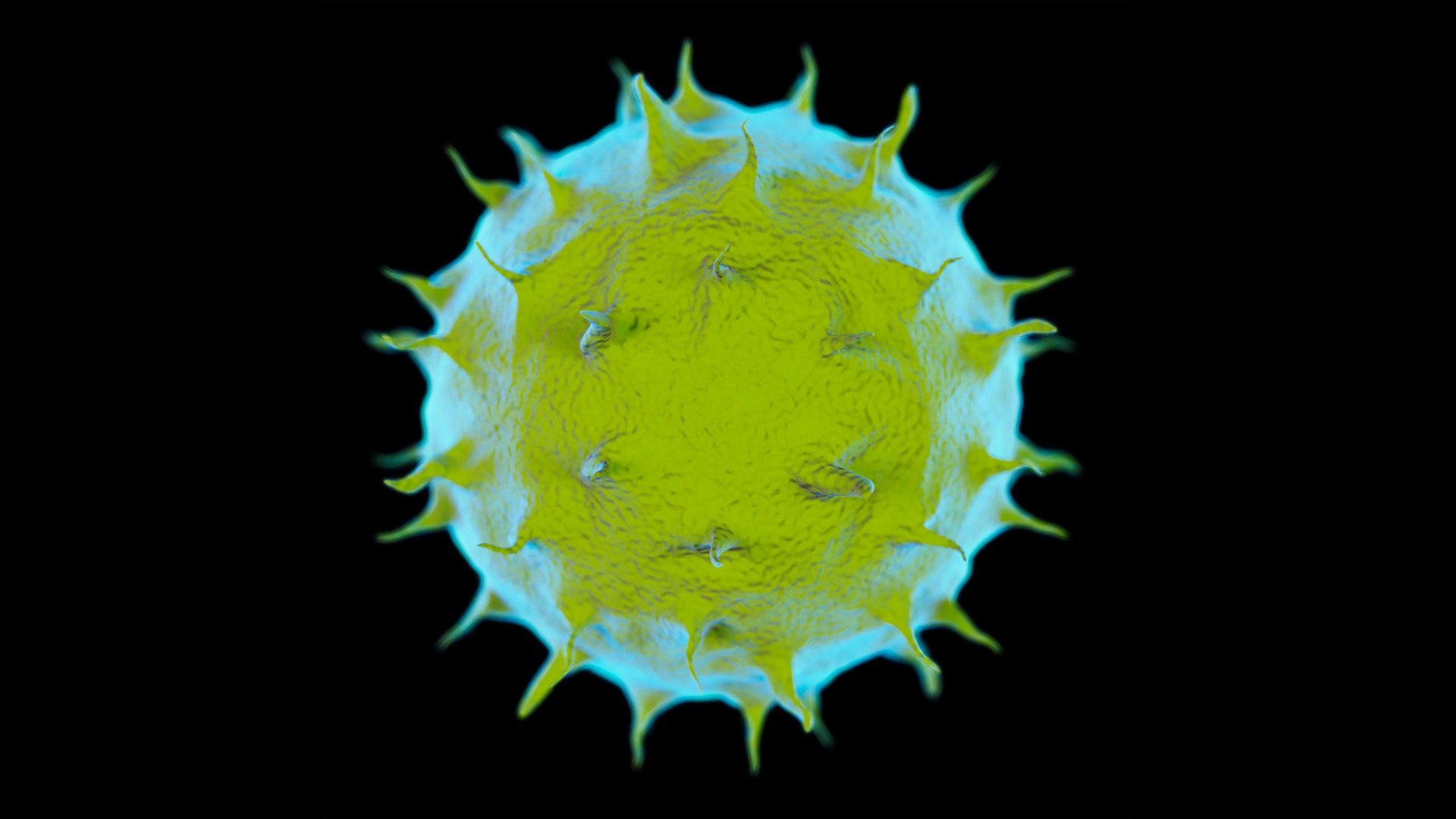 bacterium 3ds https://p.turbosquid.com/ts-thumb/Tj/FrY1C9/gQ/3ps/jpg/1746785427/1920x1080/fit_q87/7244a33dd5414c5a244fccf4df1016a15161f153/3ps.jpg