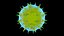 Bacteria verde