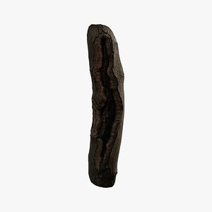 3D Anydrafts Acer tataricum Burl 02 model