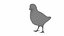 Bird Collection 3 in 1