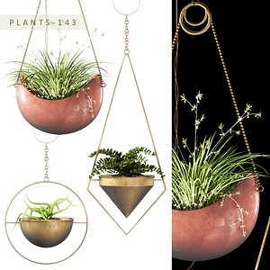 hanging plants 143 3D