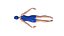 4 Female Swimming Animations BUNDLE