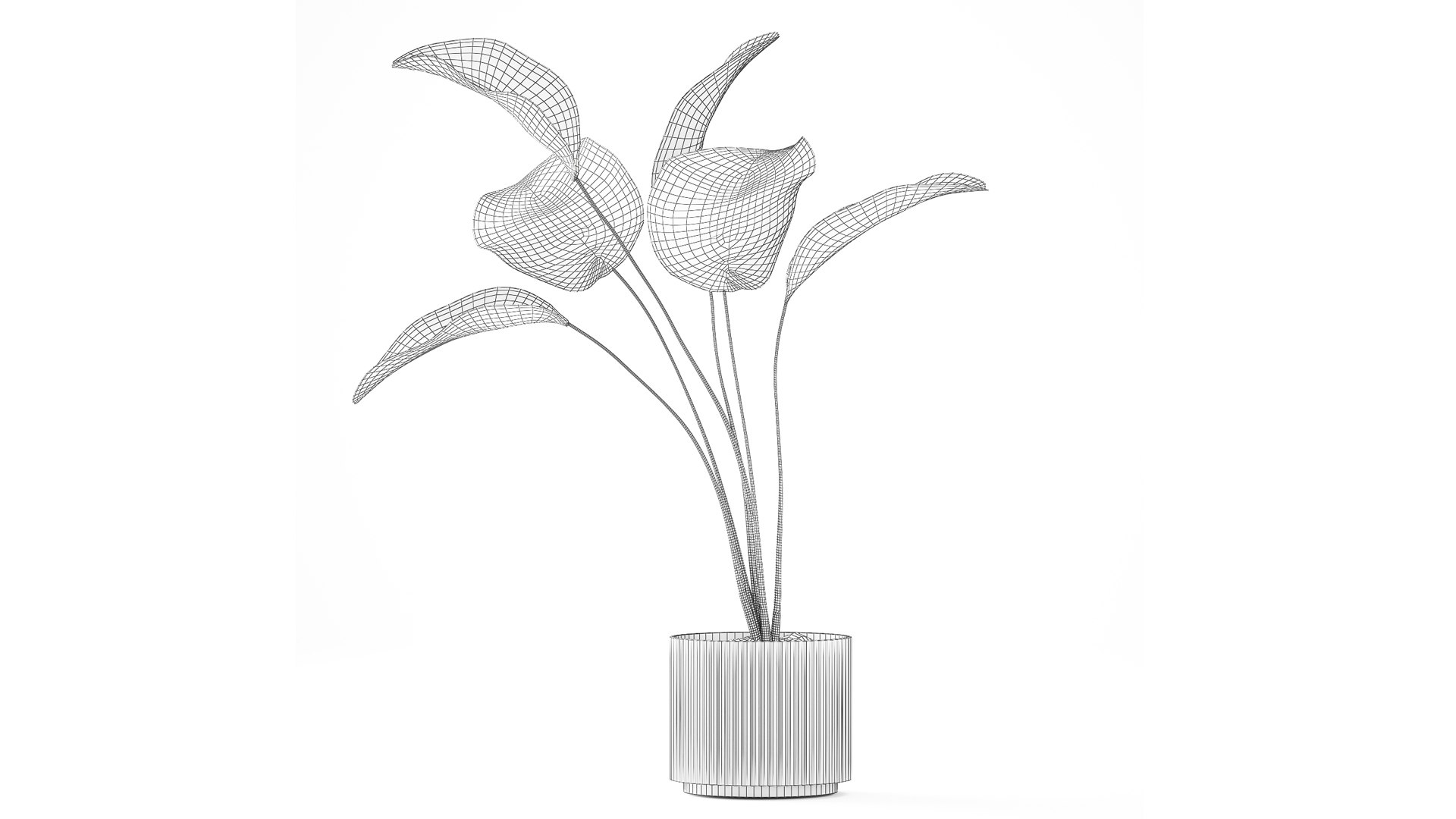 A beautiful  Calathea lutea  plant in a modern pot 3D https://p.turbosquid.com/ts-thumb/Tj/vGgelE/Sn/potplants30092609/jpg/1793107147/1920x1080/fit_q87/a956c654b422aea5c9e7d63dc443a22164fea624/potplants30092609.jpg