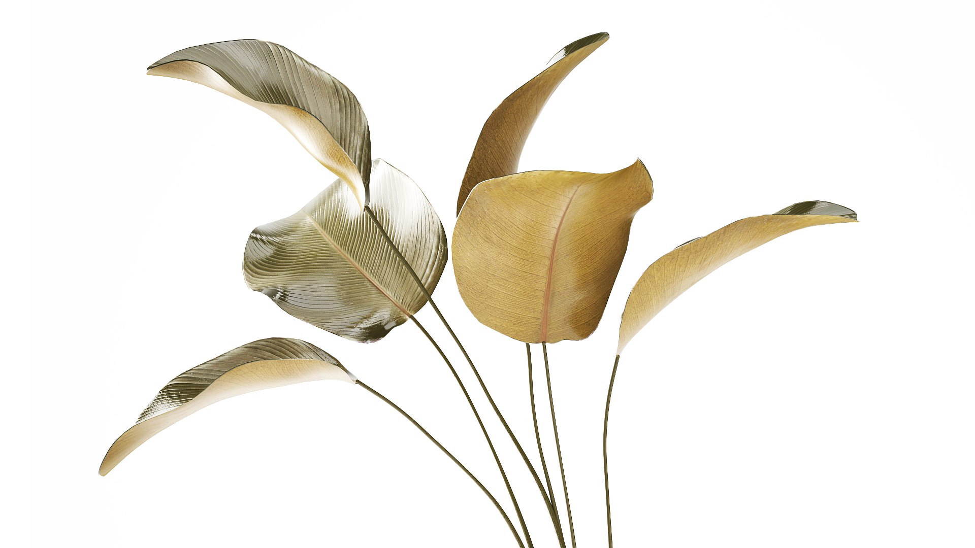A beautiful  Calathea lutea  plant in a modern pot 3D https://p.turbosquid.com/ts-thumb/Tj/vGgelE/fA/potplants30092604/jpg/1793107145/1920x1080/fit_q87/034fd94e3ad9c02f94e852738bb65f3ffce8b573/potplants30092604.jpg