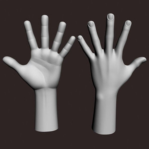 Here e 3. Рука референс 3д. Рука для моделирования. Кисть 3d модель. Рука 3д модель.
