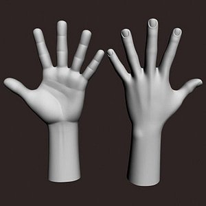 Man Hand 3d Model