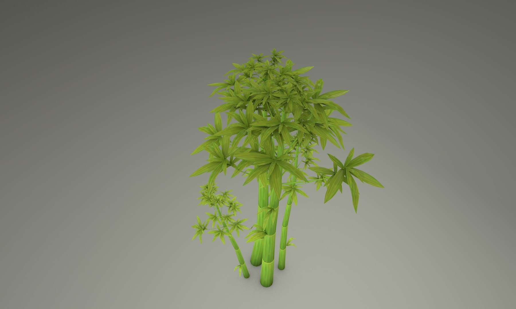 3D cartoon bamboo trees https://p.turbosquid.com/ts-thumb/Tj/zc8Vfh/DhOah5S5/04midpoly_bamboo/jpg/1589230240/1920x1080/fit_q87/d269a988bdf11c6659480e684c91a3bfc67339eb/04midpoly_bamboo.jpg