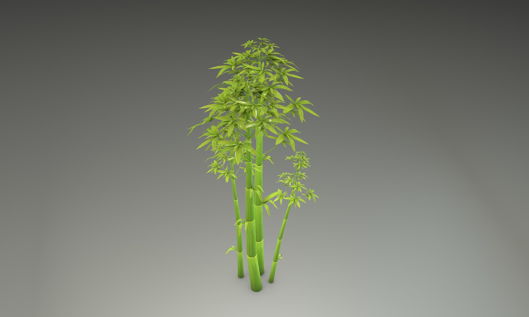 3D cartoon bamboo trees https://p.turbosquid.com/ts-thumb/Tj/zc8Vfh/XqyyIspX/00midpoly_bamboo/jpg/1589230239/1920x1080/fit_q87/afb0e830e83e7551ba58167044aea16e380e1317/00midpoly_bamboo.jpg