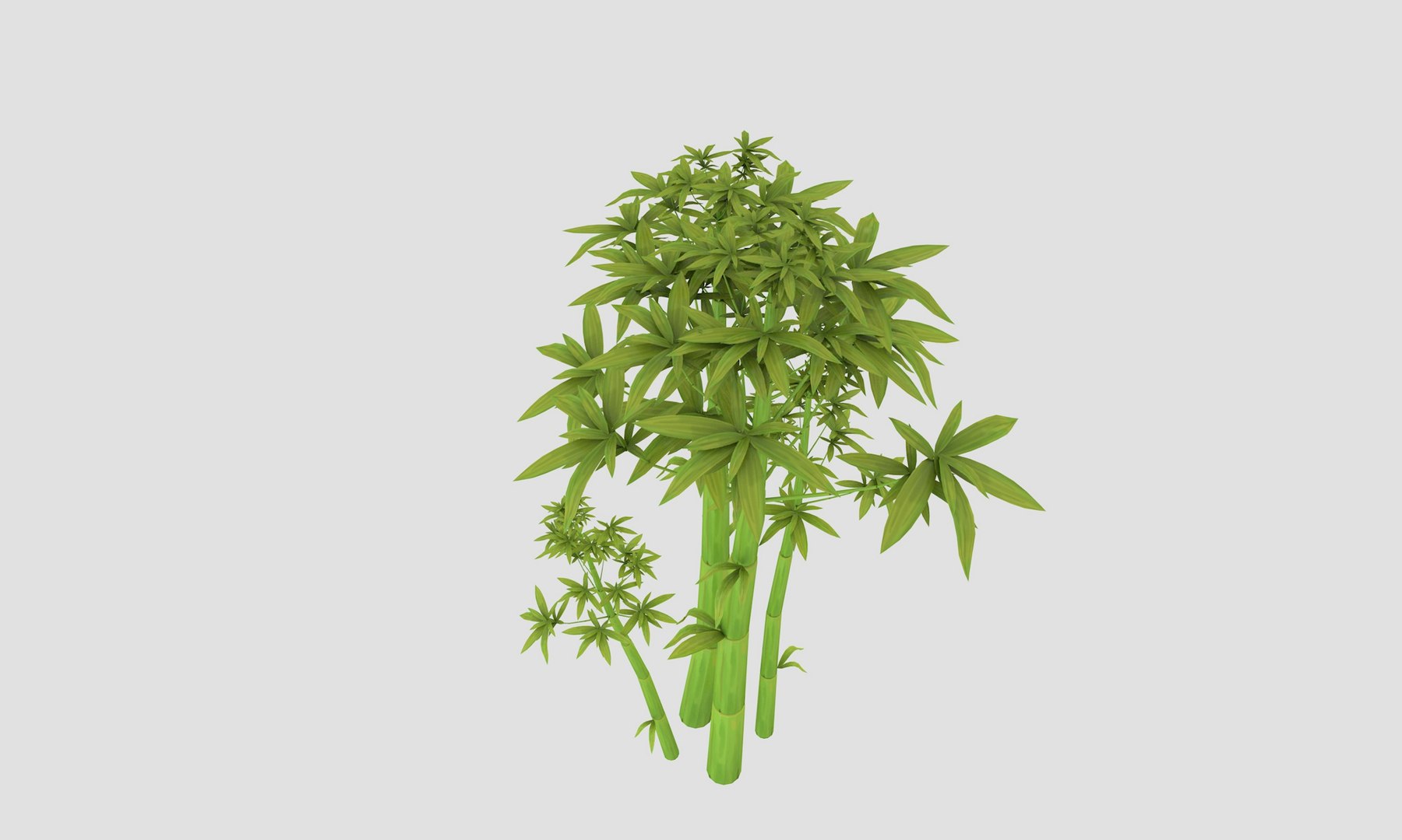 3D cartoon bamboo trees https://p.turbosquid.com/ts-thumb/Tj/zc8Vfh/q8yfsZE0/03midpoly_bamboo/jpg/1589230240/1920x1080/fit_q87/919a6ecfb3bb0a9eb7fef56aceed249f4aae42aa/03midpoly_bamboo.jpg