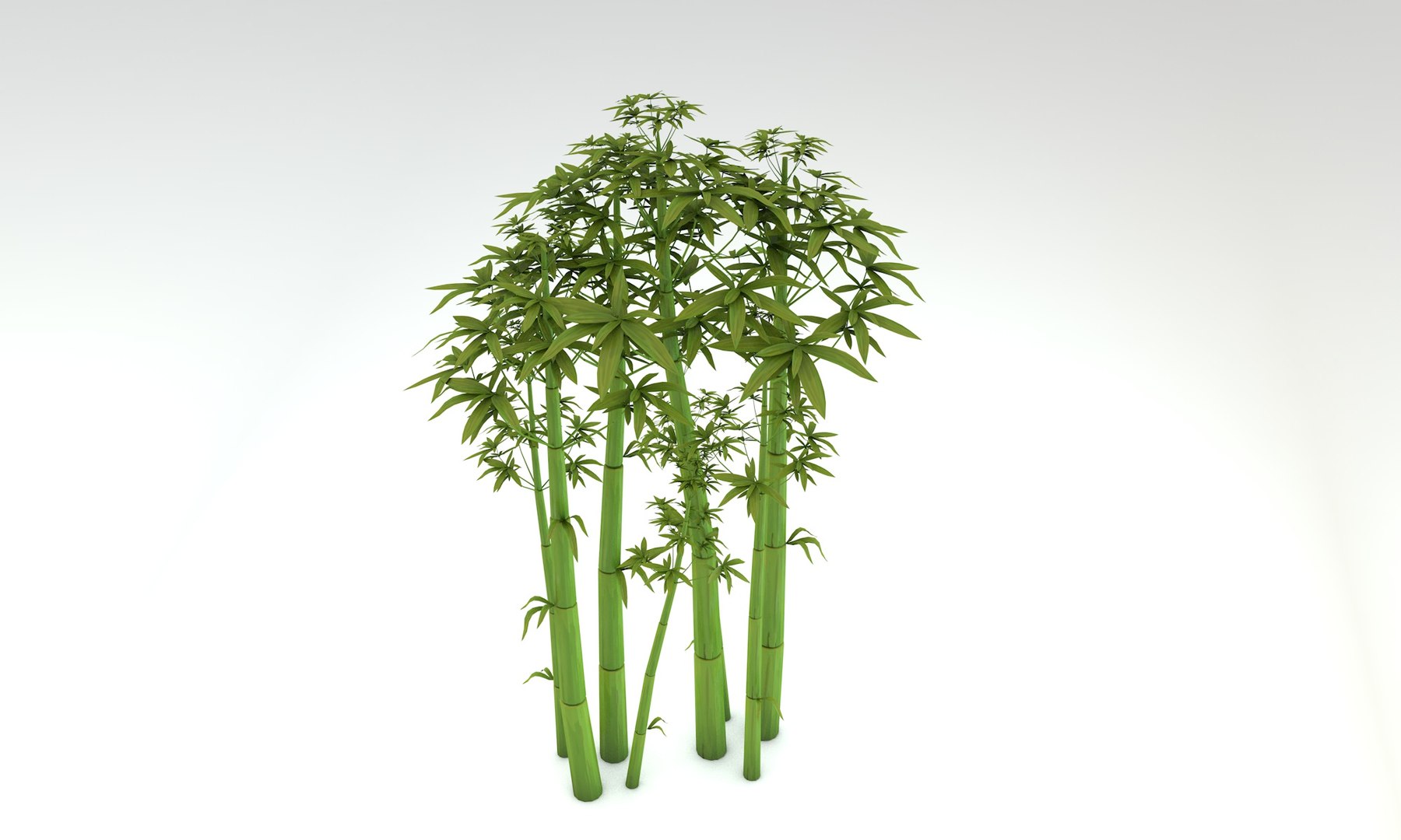 3D cartoon bamboo trees https://p.turbosquid.com/ts-thumb/Tj/zc8Vfh/qhrMCQ31/01midpoly_bamboo/jpg/1589230240/1920x1080/fit_q87/ae9e7e6e32fa4ad6caa4431ea8ef716bcf24e2af/01midpoly_bamboo.jpg