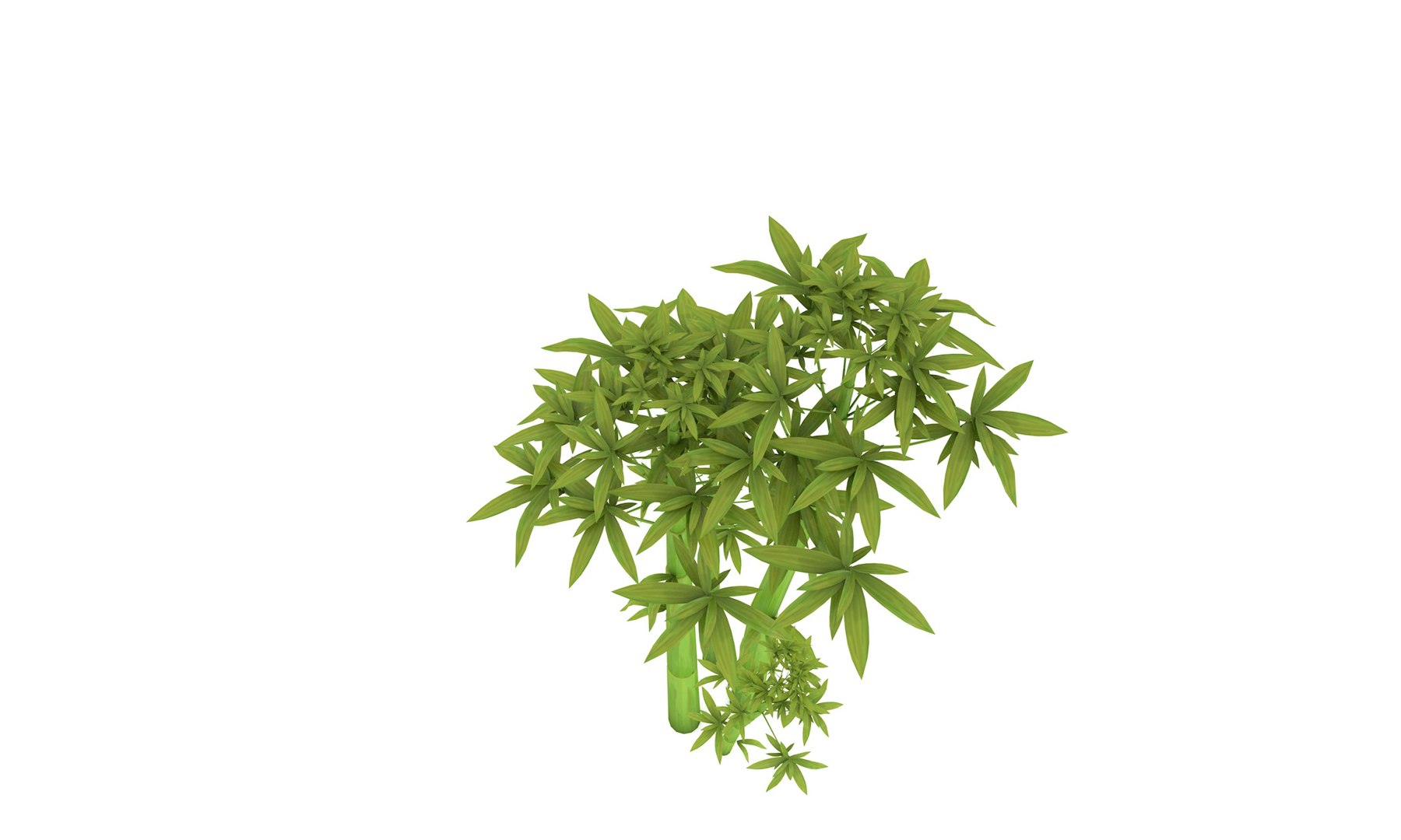 3D cartoon bamboo trees https://p.turbosquid.com/ts-thumb/Tj/zc8Vfh/sO6S7nQw/05midpoly_bamboo/jpg/1589230240/1920x1080/fit_q87/12256d2b91211a0122b38b17726123d91a90d0be/05midpoly_bamboo.jpg