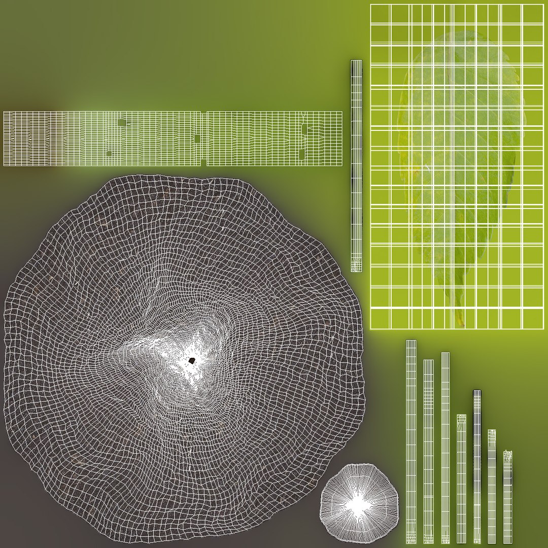 3D Young Plants With Roots Collection Model - TurboSquid 2416556