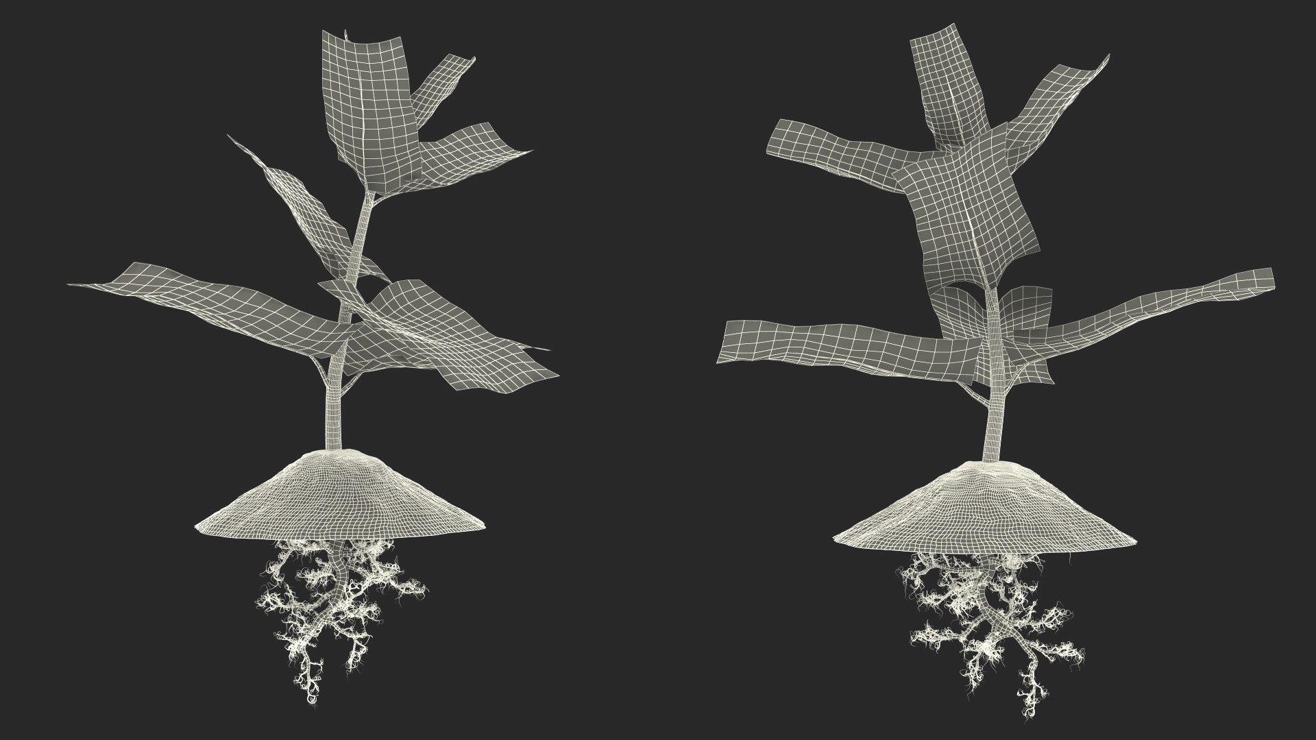 3D Young Plants With Roots Collection Model - TurboSquid 2416556