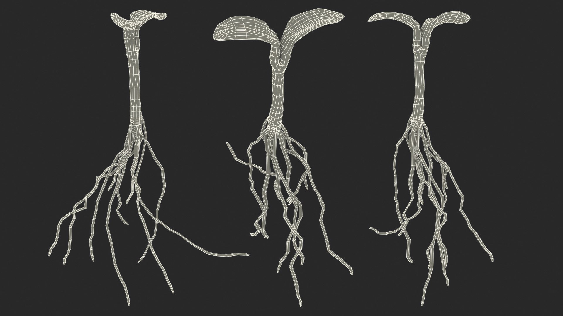 3D Young Plants With Roots Collection Model - TurboSquid 2416556