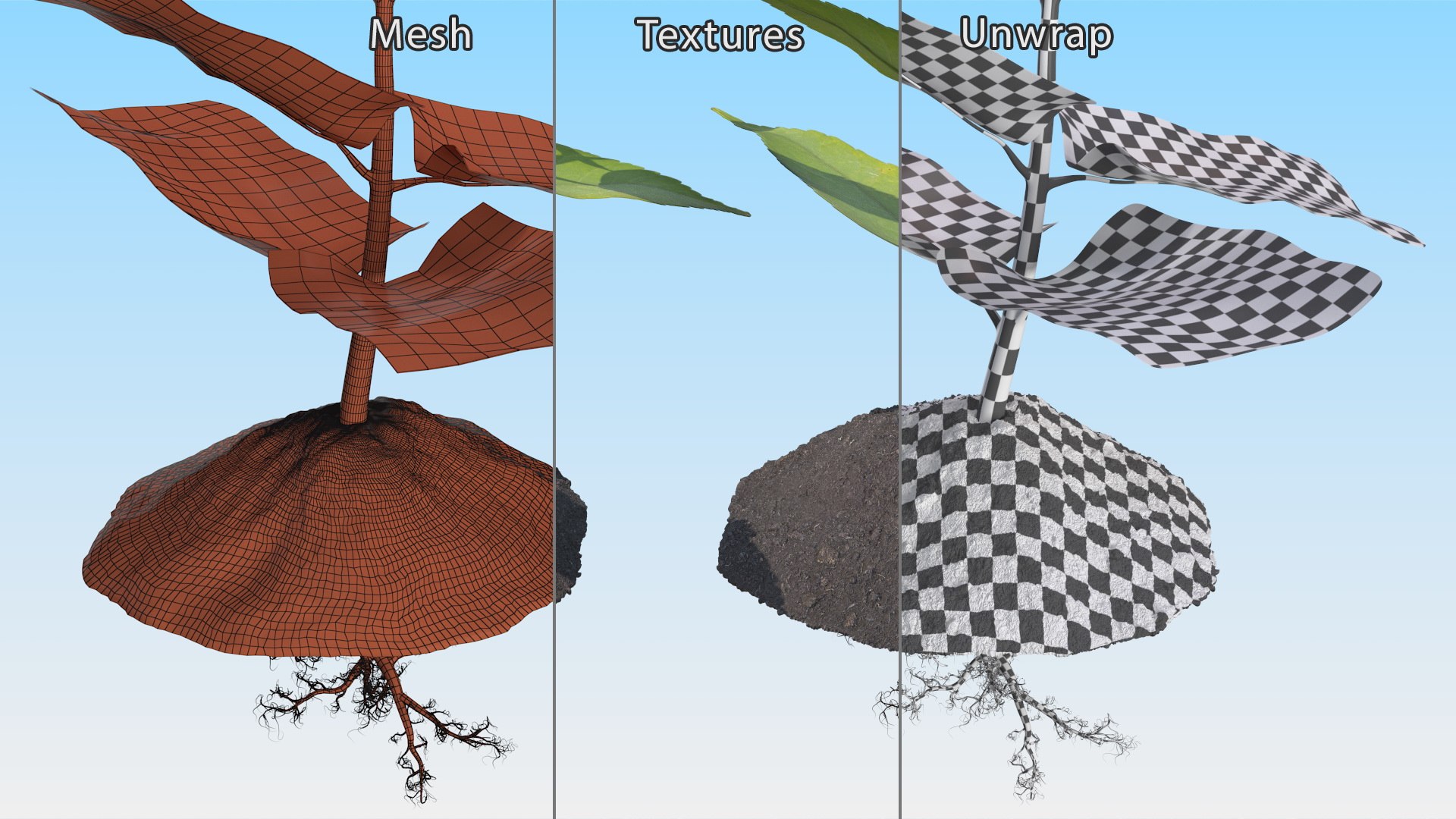 3D Young Plants With Roots Collection Model - TurboSquid 2416556