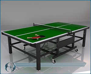 max table tennis